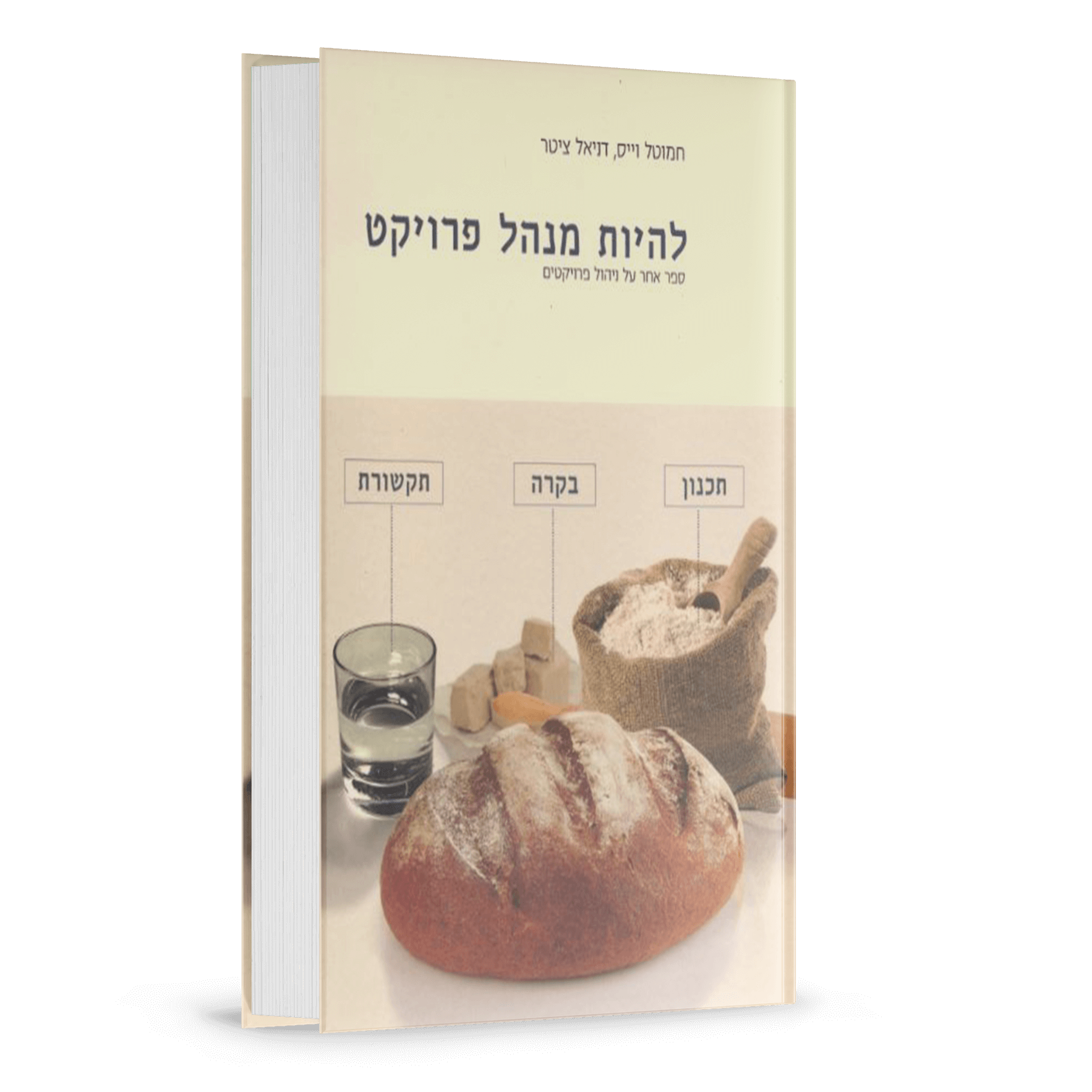 להיות-מנהל-פרויקט