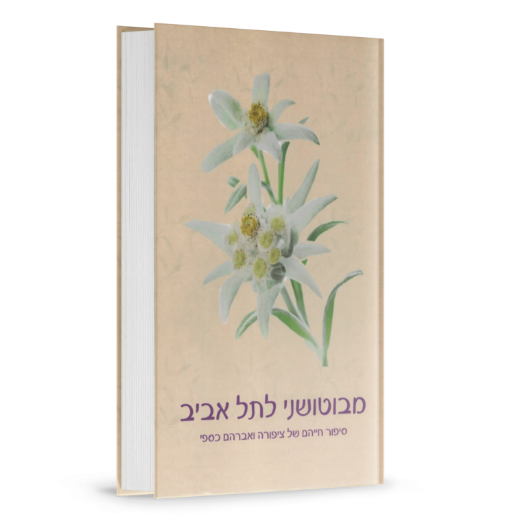 מבוטושני לתל אביב