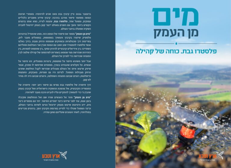 מים מן העמק — הכריכה הקדמית והאחורית של הספר על פלסטרו גבת